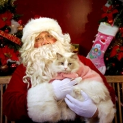 「お見合いですから・・・」かわいいペットのお見合い写真大募集！！【第３回 Myペット フォトコンテスト】の投稿画像