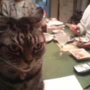 「食事中の会話は重要」わんこ＆にゃんこの&ldquo;癒し顔&rdquo;写真大募集！の投稿画像