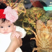 「えびちゃんより早く大きくなるんだ！！」【赤ちゃん写真コンテスト開催】魚沼産コシヒカリ１年分♪豪華賞品多数ご用意！の投稿画像