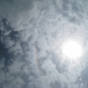 「見上げれば」C1000と楽しもう！秋晴れの空を、写真に切り取ってみよう！の投稿画像