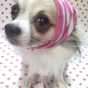 「宇宙一ラブリー♡」芸術の秋！写真をデコデコしたい方いらっしゃーい☆写真投稿でフォトブックを作ろうの投稿画像