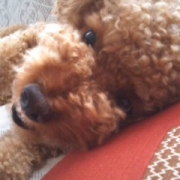 「僕のおやつ」【かわいいフォトブックKpi Pink】ついついニヤけてしまう写真大募集！☆の投稿画像