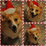 笑顔のクリスマス♪