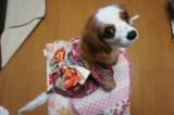 おすまし