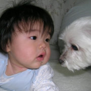 「大好きなワンちゃんと」甘くとろけそうな写真大募集&hearts;バレンタインにひと味違ったメッセージカードを贈ろう！の投稿画像