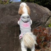 「誰かいる～？」＜第４回フォトコンテスト＞ うちのペット自慢 【kamikau.com】の投稿画像