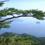 「宮島の弥山（みせん）の上から！！」【Ｃ１０００の日カウントダウン】新しいリフレッシュタイムをどど～んとプレゼント！の投稿画像