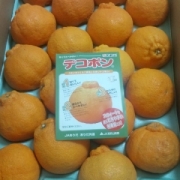 「☆ついつい手が伸びる。。☆」【Ｃ１０００の日カウントダウン】新しいリフレッシュタイムをどど～んとプレゼント！の投稿画像