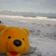 「冬の海は気持ちが良い」【Ｃ１０００の日カウントダウン】新しいリフレッシュタイムをどど～んとプレゼント！の投稿画像