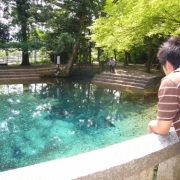 「湧き水」【温泉や水の写真コンテスト】温泉水99 2L&times;6本 20名様プレゼント！の投稿画像
