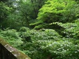 癒しも大切☆