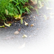 「ねこじゃらしに　くっついた　しずく」【クリンスイ】～水のある風景～　写真募集の投稿画像