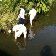 「エビ採り」【クリンスイ】～水のある風景～　写真募集の投稿画像
