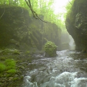 「自然のままに・・・」【クリンスイ】～水のある風景～　写真募集の投稿画像