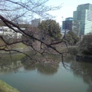 「千鳥が淵」【クリンスイ】～水のある風景～　写真募集の投稿画像