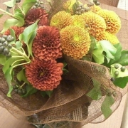 「新居のお祝い～菊」あなたが撮った「花」の写真募集！WEBガーデン「5周年記念庭園」開設！の投稿画像