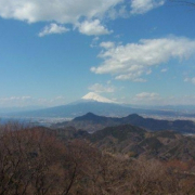 「美しい日本」日本を元気にしよう！癒しやパワーをくれる植物の画像やイラスト大募集！の投稿画像