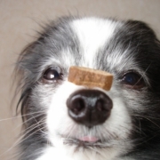 「どんな笑顔？」C1000と楽しもう！みんなの笑顔を集めよう！の投稿画像