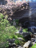 「修行」の画像（1枚目）