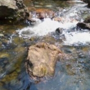「公園」【クリンスイ】～水のある風景～　写真テーマ「花と水」の投稿画像