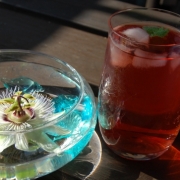 「我が家の自慢のウッドデッキテラスでハーブティ」ベストティーショット大募集！『ローズヒップルイボスティー』20名様の投稿画像