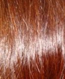 「毎日使って１ケ月たちました。」の画像