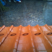 「ありがとう～!!」【クリンスイ】～水のある風景～　写真テーマ「雨」の投稿画像