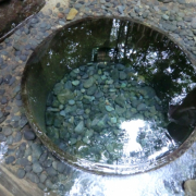 「都内にある湧き水」【クリンスイ】～水のある風景～　写真テーマ「きれいな水」の投稿画像