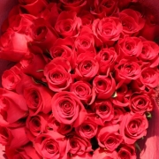 「君はバラより美しい～☆」【アンジェ】11周年記念！お花画像の投稿で、大ヒットキッチンアイテムプレゼント♪の投稿画像