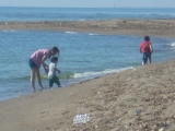 やっぱり海でしょ