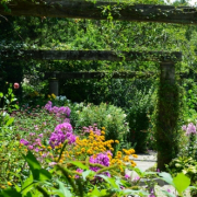 「色々な花が咲いている庭」お花画像の投稿で、フラワーエッセンスの人気商品をプレゼント！の投稿画像