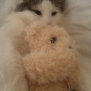 「おねむなの」【グルメプラス世界に笑顔を届けよう企画】クスッと笑える、癒される写真を大募集！の投稿画像