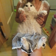 「パンツはかぼちゃなの」【グルメプラス世界に笑顔を届けよう企画】クスッと笑える、癒される写真を大募集！の投稿画像