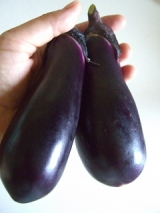 口コミ：茄子が主役、かた焼きそばの画像（1枚目）