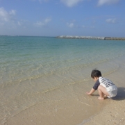 「自由に遊べる幸せ♪」【クリンスイ】～水のある風景～　写真テーマ「海」の投稿画像
