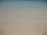 沖縄の海