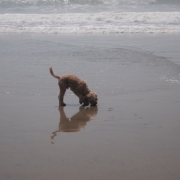 「何があるの？」【クリンスイ】～水のある風景～　写真テーマ「海」の投稿画像