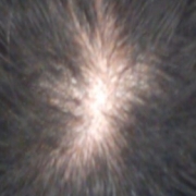 「恥ずかしながら」髪は女の命！発売前女性向け美髪サプリ★ヘアドルーチェ★じっくり6ヵ月長期モニターの投稿画像