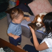 「美味しい水は犬も一緒！」【クリンスイ】～水のある風景～　写真テーマ「おいしい水」の投稿画像