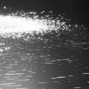 「井の頭公園にて」【クリンスイ】～水のある風景～　写真テーマ「おいしい水」の投稿画像