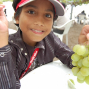 「マスカットだよ」サプリ米と考えよう！これぞ食欲の秋を写真で教えてくださいの投稿画像