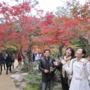 「わ～!!!」C1000と楽しもう！秋を感じる紅葉の写真大募集！の投稿画像