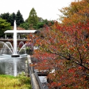 「紅葉にはまだまだですが・・・」C1000と楽しもう！秋を感じる紅葉の写真大募集！の投稿画像