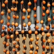 「干し柿を見つけました。」C1000と楽しもう！秋を感じる紅葉の写真大募集！の投稿画像