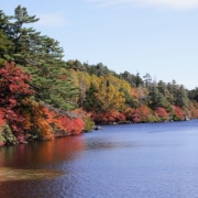 「紅葉♪」【オールインワンゲル青じゅるの田舎家】あなたが撮影した★秋を感じる写真★大募集♪の投稿画像