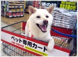 「ご挨拶♪」の画像（1枚目）