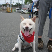 「3日間の無料しつけ教室の同窓会♪」【フォト募集】自慢のペット写真を投稿してオリジナルステッカーを作ろう！の投稿画像