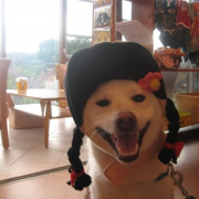 「おさげちゃん♪」【フォト募集】自慢のペット写真を投稿してオリジナルステッカーを作ろう！の投稿画像