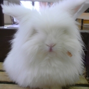 「目はどこ？」【グルメプラス世界に笑顔を届けよう企画】クスッと笑える、癒される写真を大募集！の投稿画像