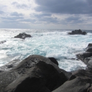 「常春の島だけど…」【ホテルのアメニティセットをプレゼント！】冬のとっておきフォトを大募集♪の投稿画像